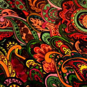 Meet your Posher, Jaime